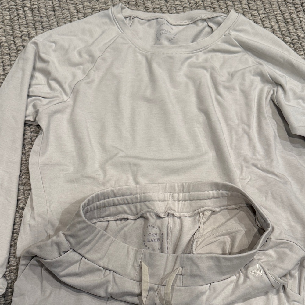 Light Gray Long Sleeve Top and Joggers Set